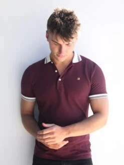 Dalston Polo - Burgundy -Cheap Clothing Store 2634Burgundy 02D 02bb909f 4d61 4788 abde b9a485e98e1c