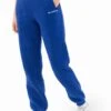 Everyday Sweatpants - Cobalt Blue -Cheap Clothing Store 2759 LEAD JOGGER BLUED