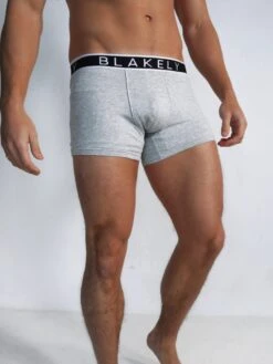 B2 | Boxers - Grey 3 Pack -Cheap Clothing Store 976 6GreyBoxers5D 8c8d3aa0 f85f 4a12 a4e1 4494356dbd5d